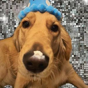 国产乱码精品一区二区三上
